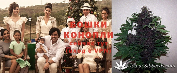тгк Кулебаки