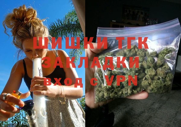 тгк Кулебаки